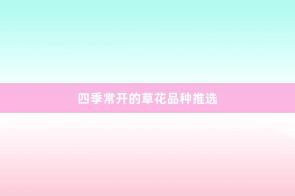 四季常开的草花品种推选